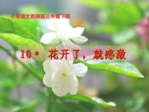 10 花开了,就感激