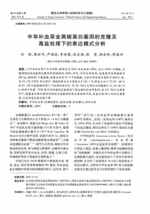 中华补血草金属硫蛋白基因的克隆及高盐处理下的表达模式分析