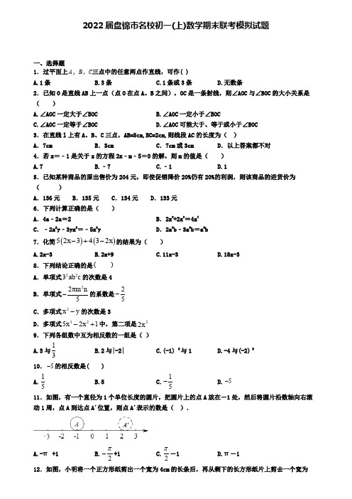 2022届盘锦市名校初一(上)数学期末联考模拟试题