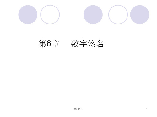 《数字签名》PPT课件