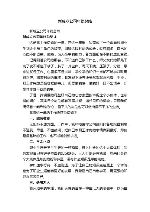 新成立公司年终总结