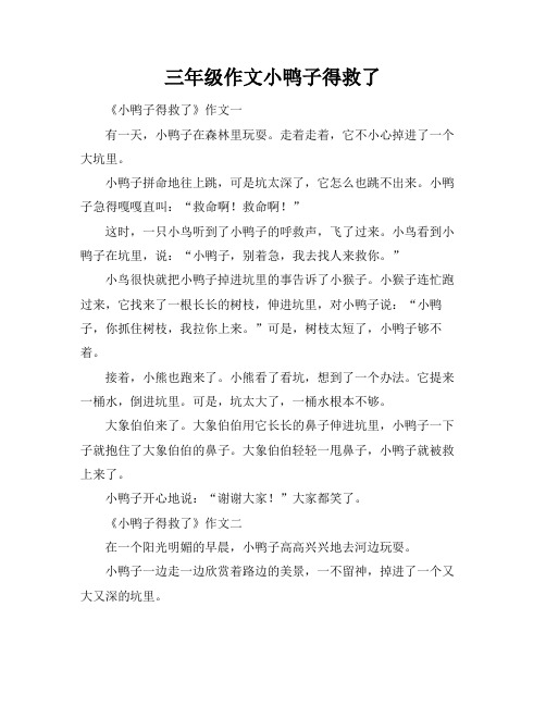 三年级作文小鸭子得救了