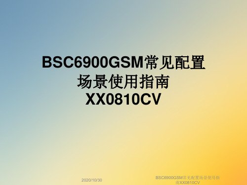 BSC6900GSM常见配置场景使用指南XX0810CV