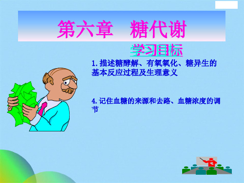 生物化学 第6章 糖代谢(共94张PPT)