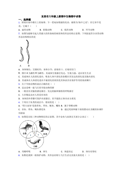 宜昌市八年级上册期中生物期中试卷