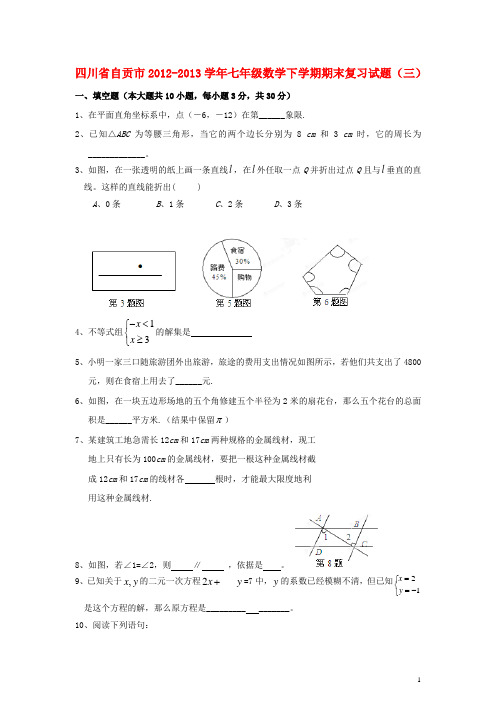 四川省自贡市2012-2013学年七年级数学下学期期末复习试题(三)