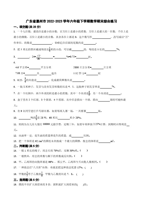 广东省惠州市2022-2023学年六年级下学期期末综合练习数学试题及参考答案