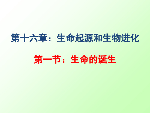 苏教版初中生物八年级上册5.16.1 生命的诞生 课件   (1)