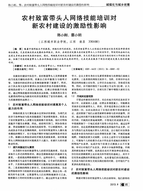 农村致富带头人网络技能培训对新农村建设的激励性影响