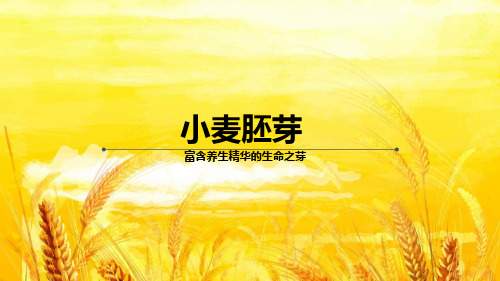 小麦胚芽 (1)