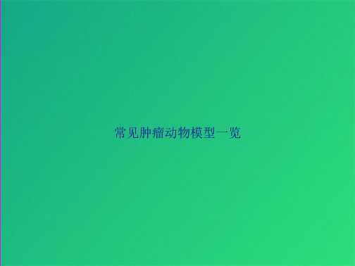 常见肿瘤动物模型一览(共30张PPT)