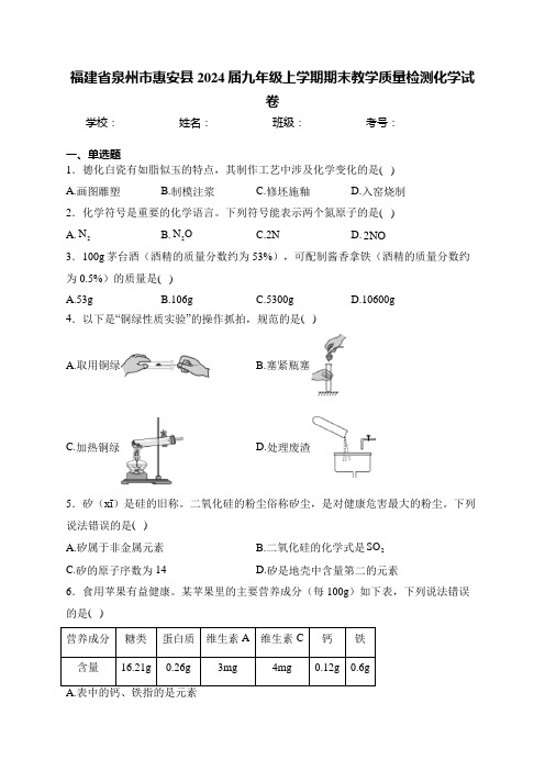 福建省泉州市惠安县2024届九年级上学期期末教学质量检测化学试卷(含答案)