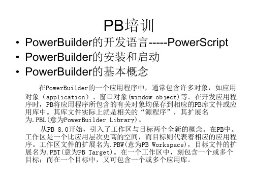 powerbuilder入门培训