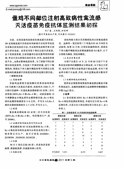 蛋鸡不同部位注射高致病性禽流感灭活疫苗免疫抗体监测结果初探