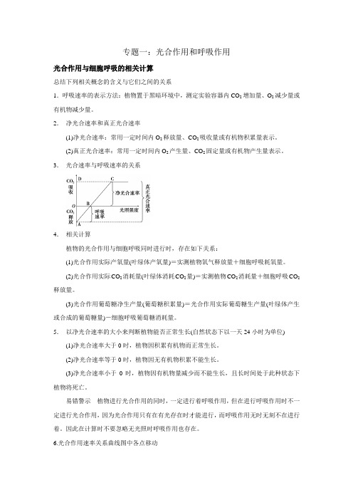 高中生物综合复习—光合作用 呼吸作用综合练习题