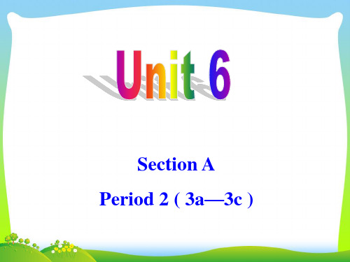 新人教版九年级英语 unit6 Section A-2 (2)-优质课件