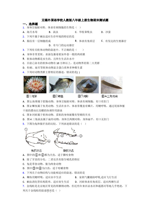 无锡外国语学校人教版八年级上册生物期末测试题