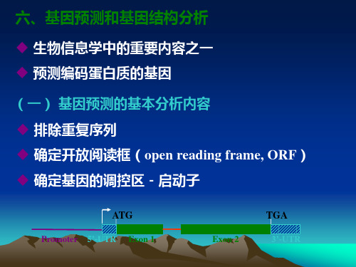 第六章 基因预测和基因结构分析