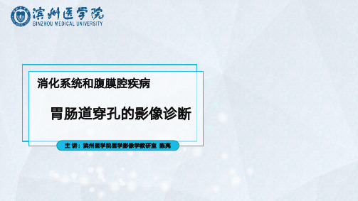 医学影像学_十二、消化系统-胃肠道病变_