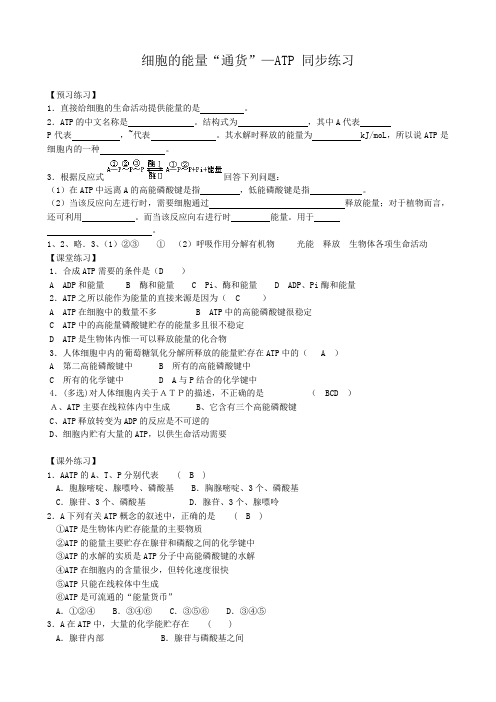 新人教版高中生物必修1细胞的能量“通货”ATP 同步练习2