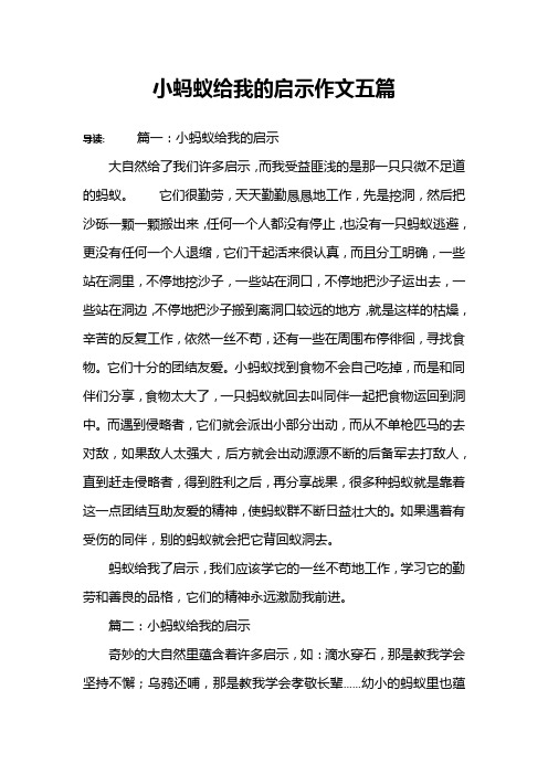 小蚂蚁给我的启示作文五篇