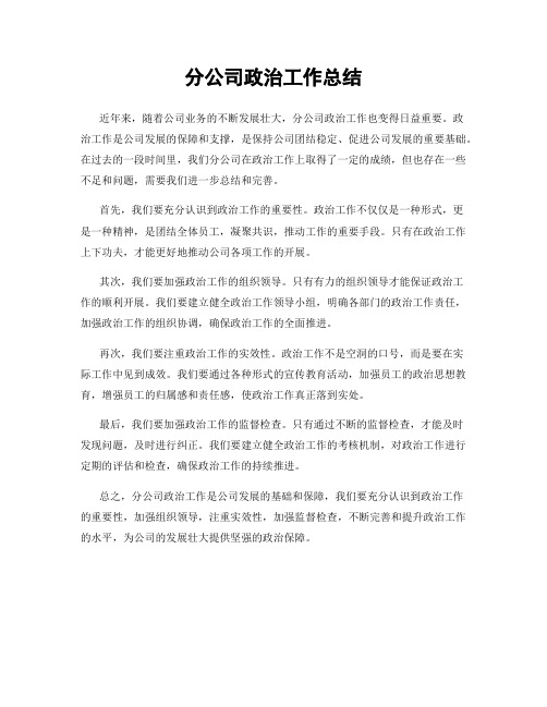 分公司政治工作总结