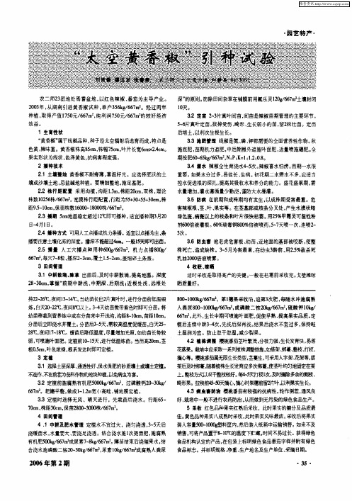 “太空黄香椒”引种试验