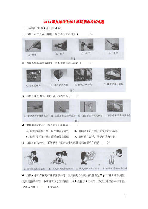 [vip专享]2013届九年级物理上学期期末考试试题