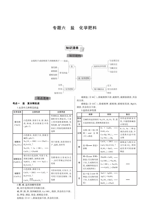 人教版化学中考总复习(六)盐 化学肥料