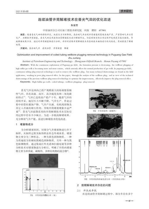 连续油管井筒解堵技术在普光气田的优化改进