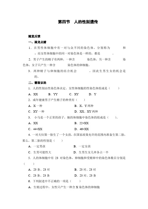人的性别遗传练习1