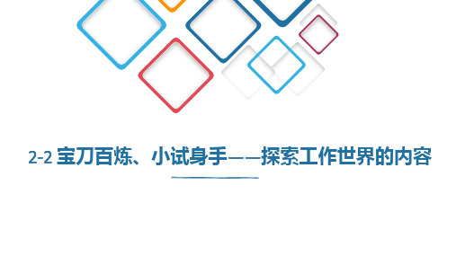 《大学生就业指导》课件——2.2宝刀百炼、小试身手——探索工作世界的内容