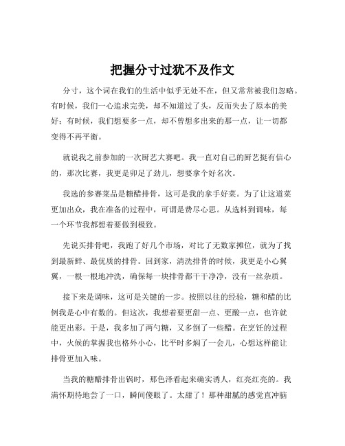 把握分寸过犹不及作文