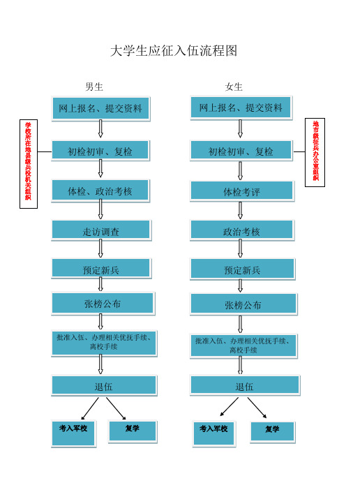 大学生应征入伍流程图