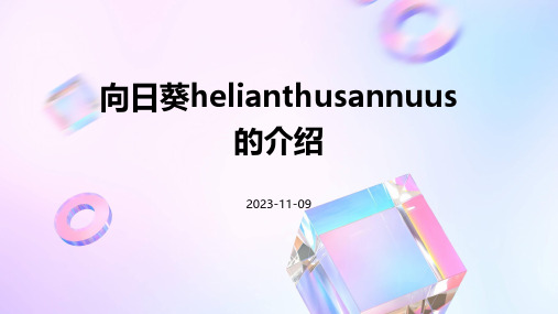 向日葵Helianthusannuus的介绍