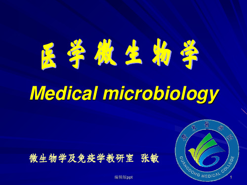 医学微生物学教学课件-张敏-绪论 第一章 细菌形态结构张敏