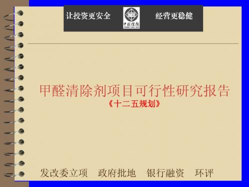 甲醛清除剂项目可行性研究报告