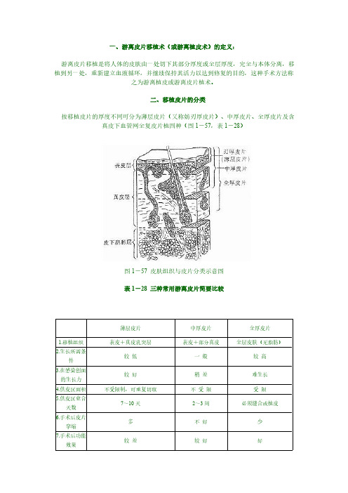 游离皮片移植术