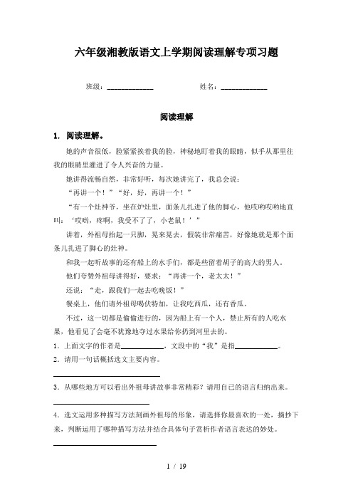 六年级湘教版语文上学期阅读理解专项习题