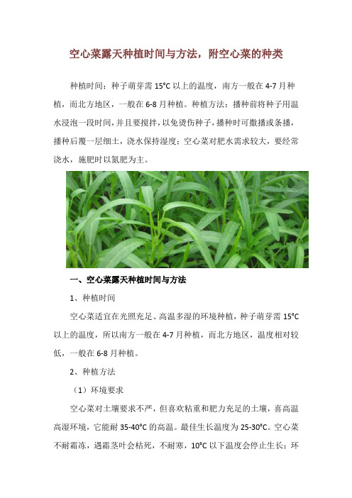 空心菜露天种植时间与方法,附空心菜的种类