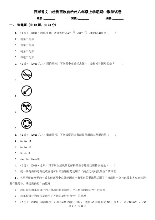 云南省文山壮族苗族自治州八年级上学期期中数学试卷