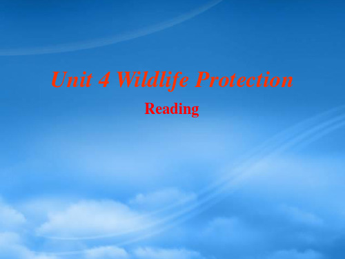 云南省德宏州梁河县第一中学高中英语 Unit 4 Wildlife protection Readi