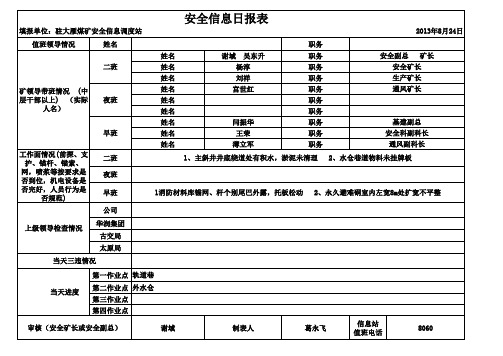 公司安全信息日报表