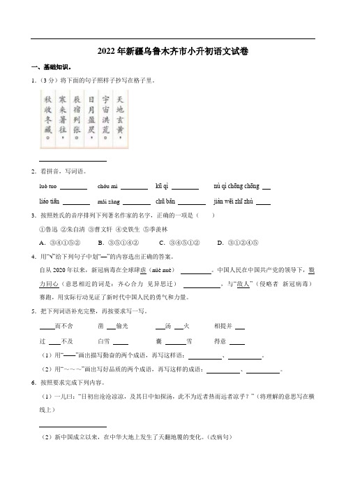 新疆乌鲁木齐市2023届小升初语文试卷(含解析)