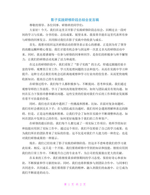 影子实践研修阶段总结会发言稿