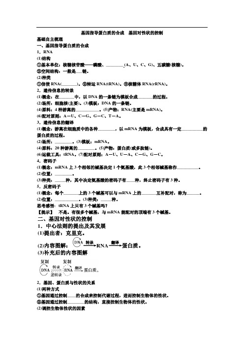 基因指导蛋白质的合成  基因对性状的控制