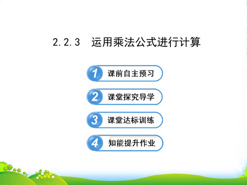 七年级数学下册第2章整式的乘法2.2乘法公式2.2.3运用乘法公式进行计算习题课件新版湘教版