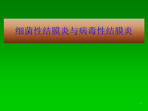 细菌性结膜炎与病毒性结膜炎的临床表现及治疗(1)PPT课件