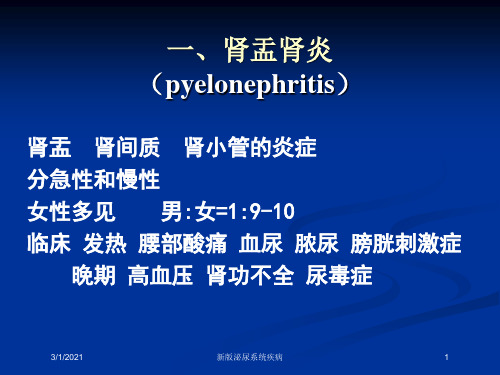 新版泌尿系统疾病培训课件