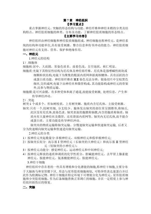 组织学与胚胎学各章知识点之第7章神经组织